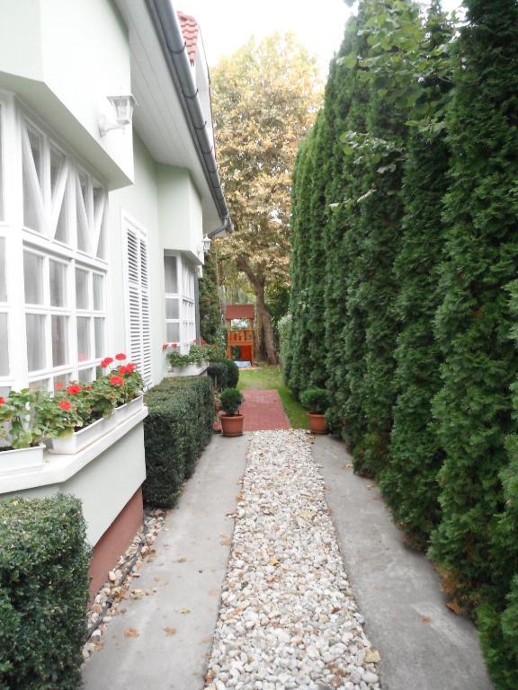Csokonai Guesthouse Zamárdi Buitenkant foto